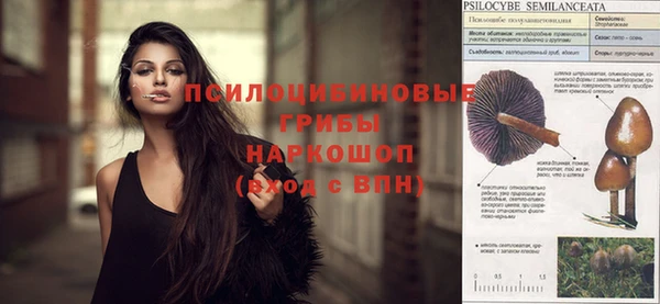 спиды Арсеньев