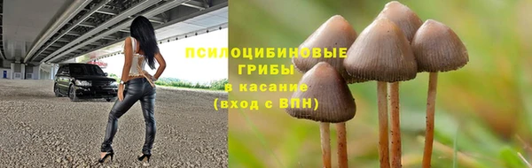 ГАЛЛЮЦИНОГЕННЫЕ ГРИБЫ Ростов