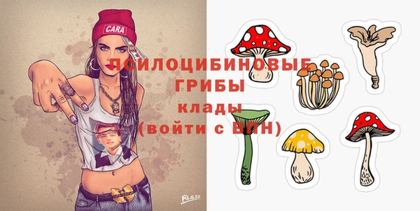 спиды Арсеньев