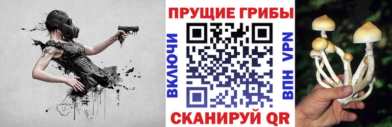 блэк спрут как войти  Серов  Псилоцибиновые грибы GOLDEN TEACHER  наркотики 