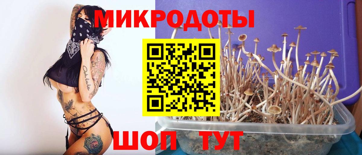 Псилоцибиновые грибы Cubensis Серов