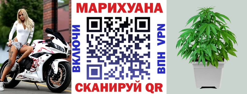 Шишки марихуана ГИДРОПОН Серов